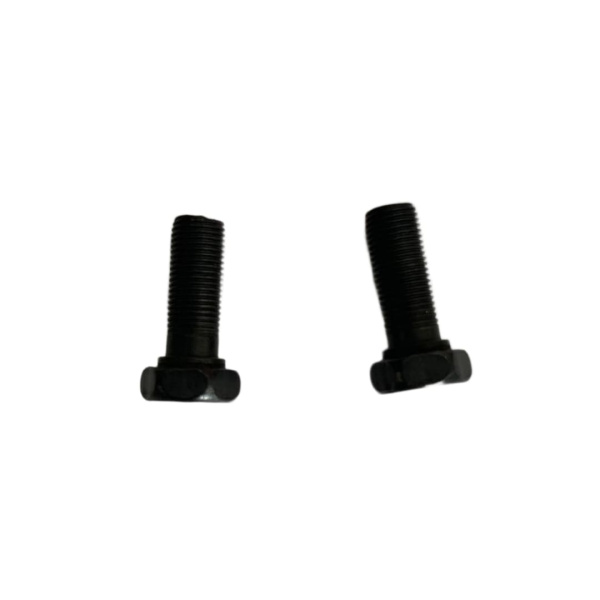 Болты для крепления диска на гравер 6мм, 2 штуки