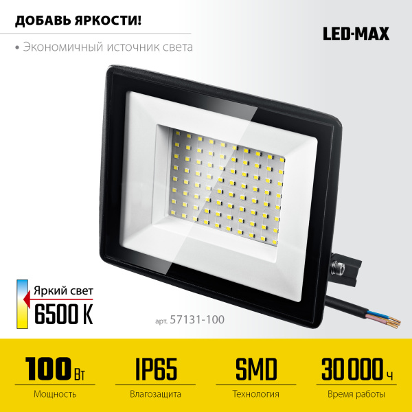 Светодиодный прожектор, STAYER LED-MAX, 100 Вт, 6500K, IP 65, арт. 57131-100