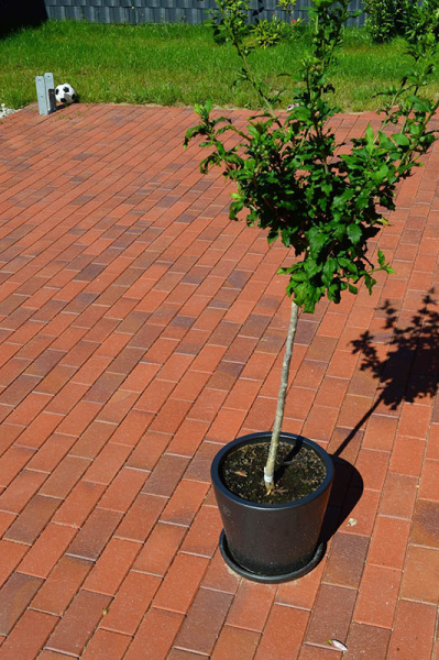 Брусчатка клинкерная Vandersanden Zittau, 200х100х45мм