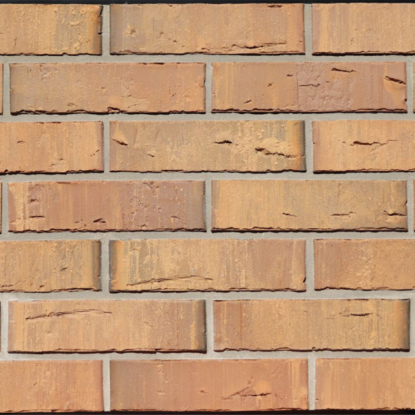 Клинкерный кирпич Эдельхаус Бремен 0,7НФ 250х65х85 мм