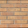 Клинкерный кирпич Эдельхаус Бремен 1НФ 250х65х120 мм