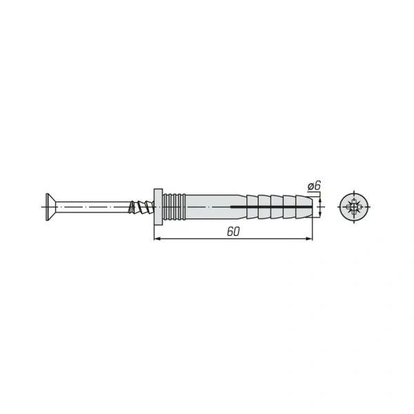 Дюбель-гвоздь SWFS 6L60 (100 шт) контейнер круглый арт.091182