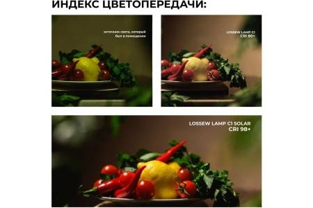 Светильник общего света LOSSEW LAMP C1 Solar